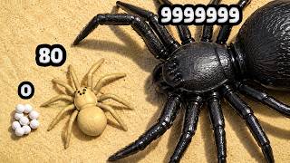 Is this The STRONGEST Spider?