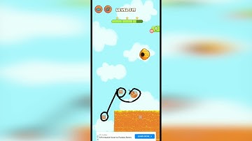 Cat Rescue Draw 2 Save Level 317