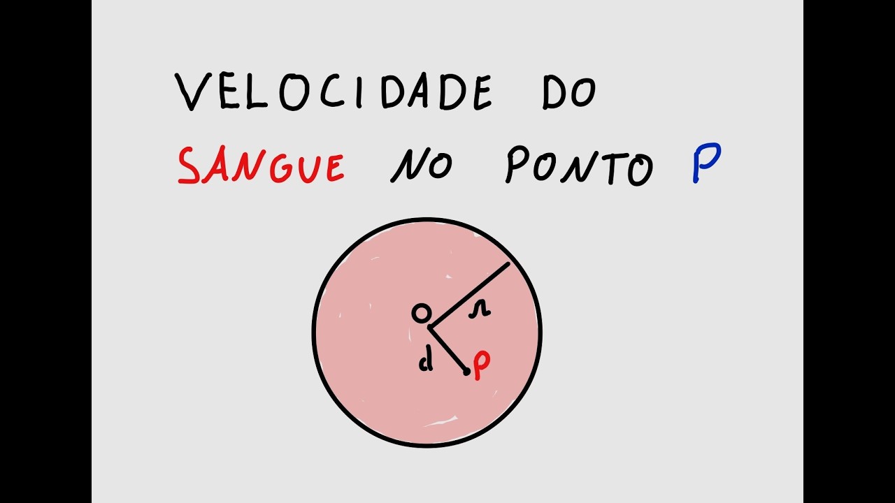 Velocidade do sangue na aorta | PUCC -SP
