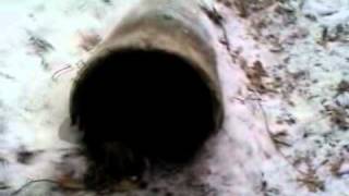 Lux&Musa Schindelhaus, Jagd Anatolii Demianenko