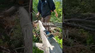 Onewheel Jungle Gym