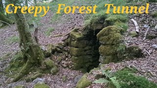 Creepy Tunnel found in the forest. Mine explorer's or the Knockers from Cornish folklore?