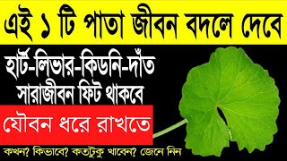 ৮০ বছরেও যৌবন অটুট রাখতে থানকুনি পাতা কিভাবে খাবেন । Thankuni patar upokarita Health tips in Bengali
