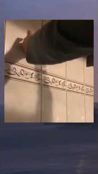 cara nangkep laba laba berbahaya jumpscare