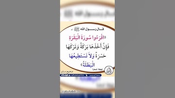 فضل سوره البقره محمد حسان