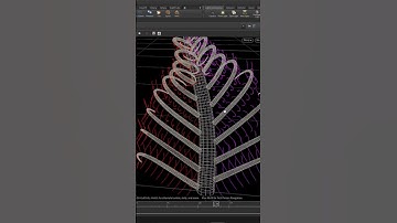 Houdini Fern Growth Real Tutorial #plants  #3danimation #growth #houdini #treegenerator