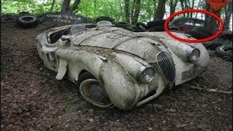 This Photographer Found Classic SuperCars Worth $$ Millions Rotting Away in A Forest