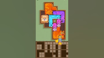 Can You Beat Puzzle Cats Level 28 ? #shorts #games #funny