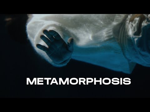 METAMORPHOSIS teaser