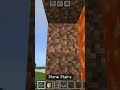 Minecraft secret lava door 😱 #viral #shorts #minecraft