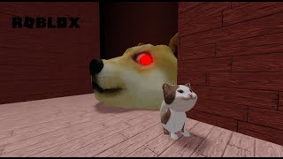 GIẢI CỨU CON MÈO KHỎI ĐẦU DOGE | Doge Head Escape