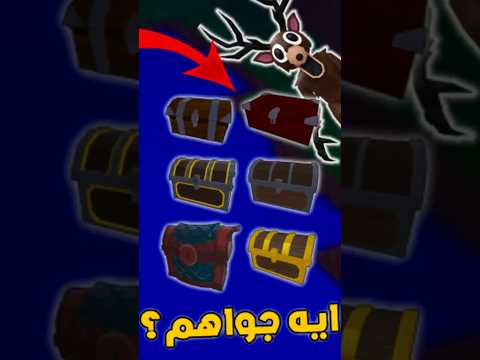 هل عمرك عرفت صناديق تسعة و تسعين ليله فيهم ايه 99night In The Forest