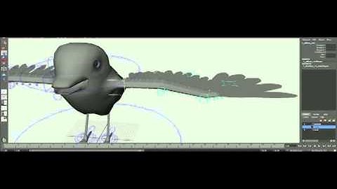 Bird Rig Demo