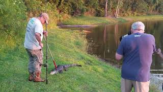 Florida Trapper shows how deal with Gator