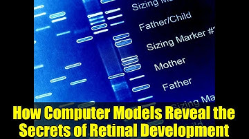 How Computer Models Reveal the Secrets of Retinal Development