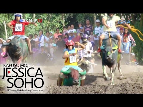 Video: Ano Ang Mga Uri Ng Mga Kabayong Arabian Doon