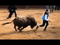 4k ciudad rodrigo carnaval del toro 2023