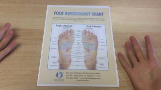 Downloadable Reflexology Charts