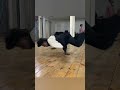 💥#breakdance 👀