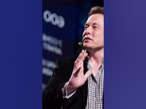 What Does Elon Musk Own? #elonmusk #elon #wealth #bussiness #lifestyle