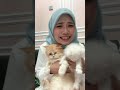 cat lovers