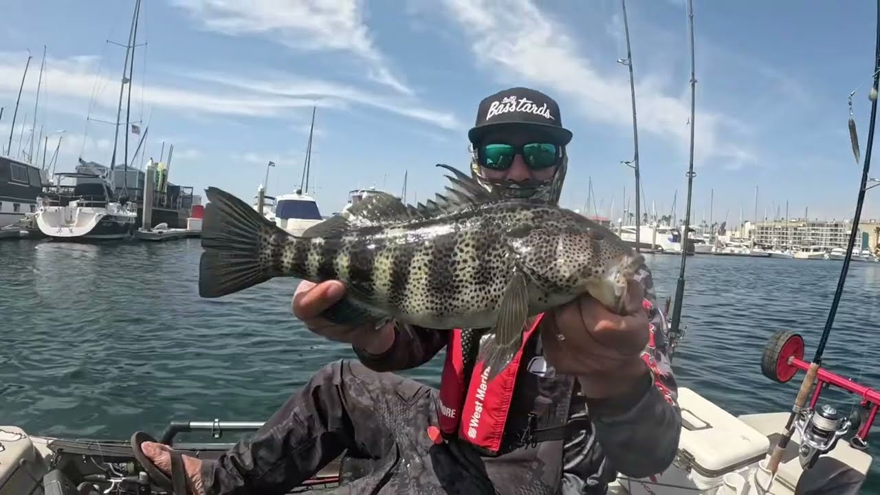 C2C A RIG SPOTTY IN THE HARBOR OF KINGS