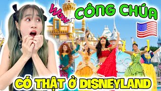 Khám Phá Disneyland Đầu Tiên Trên Thế Giới Tại California - Vê Vê Channel