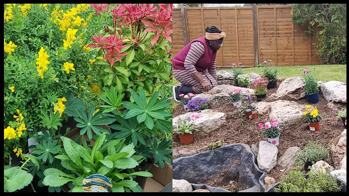 Let's share some gardening tips