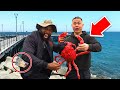 Catch &amp; Cook Biggest Spider Crab, Win LAKERS Tickets!