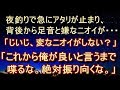 【不思議 衝撃】【海怖 怪異】背後から足音と嫌なニオイがする。「これから俺が良いと言うまで絶対喋るなよ。それと、誰に何て言われても絶対振り向くなよ」