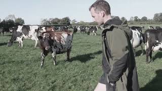 The Badger Cull Explained - TB Free England