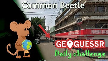 Geoguessr Daily Challenge - NMPZ May Challenge - This Beetle Is Very Common In This Country