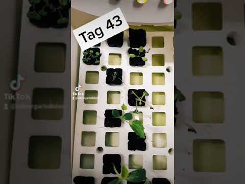 Was geht heute ab? - Tag 43