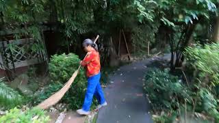 Wangjiang Lou Park  Bamboo Forest Walking Tour ASMR【4K】| WalkTube 4K