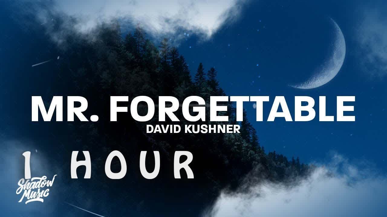 [ 1 HOUR ] Mr Forgettable - David Kushner (Lyrics) hello hello are you ...
