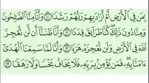 Surah Al-Jinn (سورة الجن) Number 72 Juz’u 29 from the Holy Quran by Abdelbaset Abdelsamad