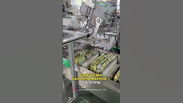 Cookie Cake Box Packing Machine ③ Cartoning