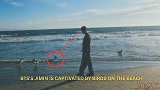 Download Lagu Jimin BTS Impressed by Birds on the Beach, ARMY Excited to See His Style! MP3 Download Lagu Jimin BTS Impressed by Birds on the Beach, ARMY Excited to See His Style! MP3