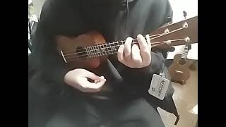 年末に島村楽器札幌パルコ店さんで買ったドラえもんハローキティウクレレでaikoさんのカブトムシを弾いて歌った【おうちで弾こう動画チャレンジ！Vol.2】