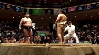 20161106全国学生相撲選手権大会団体Aクラス予選6