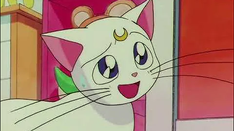 Minako Angry at Artemis (ViZ Media Dub) - DayDayNews