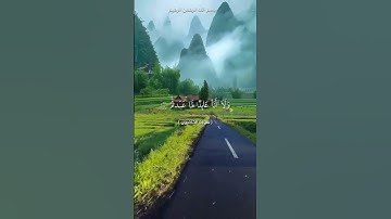 سورة الكافرون #الشيخ محمد الفقيه