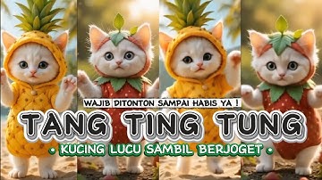 DJ TIKTOK TANG TING TUNG VERSI KUCING LUCU DAN KAWAN KAWAN