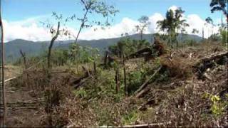 Download Lagu 101 East - Indonesia's Money-Making Military - 17 Dec - Pt 1 MP3