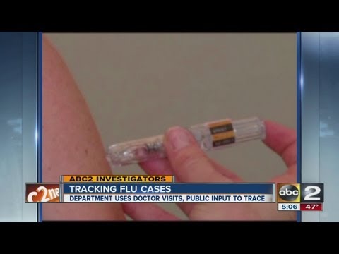 Videó: A H3N2 Kutyainfluenza Megerősített Esetei Brooklynban, NY