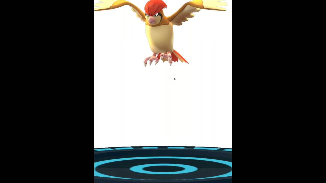 Entwicklung von Taubsi zu Tauboga zu Tauboss! Let's play Pokemon Go deutsch