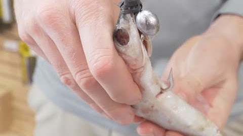 How to Make a Pin Rig and Rig a Ballyhoo