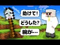 マイクラ どうぐ と会話できる世界でサバイバル マイクラ どうぐ と会話できる世界でサバイバル
