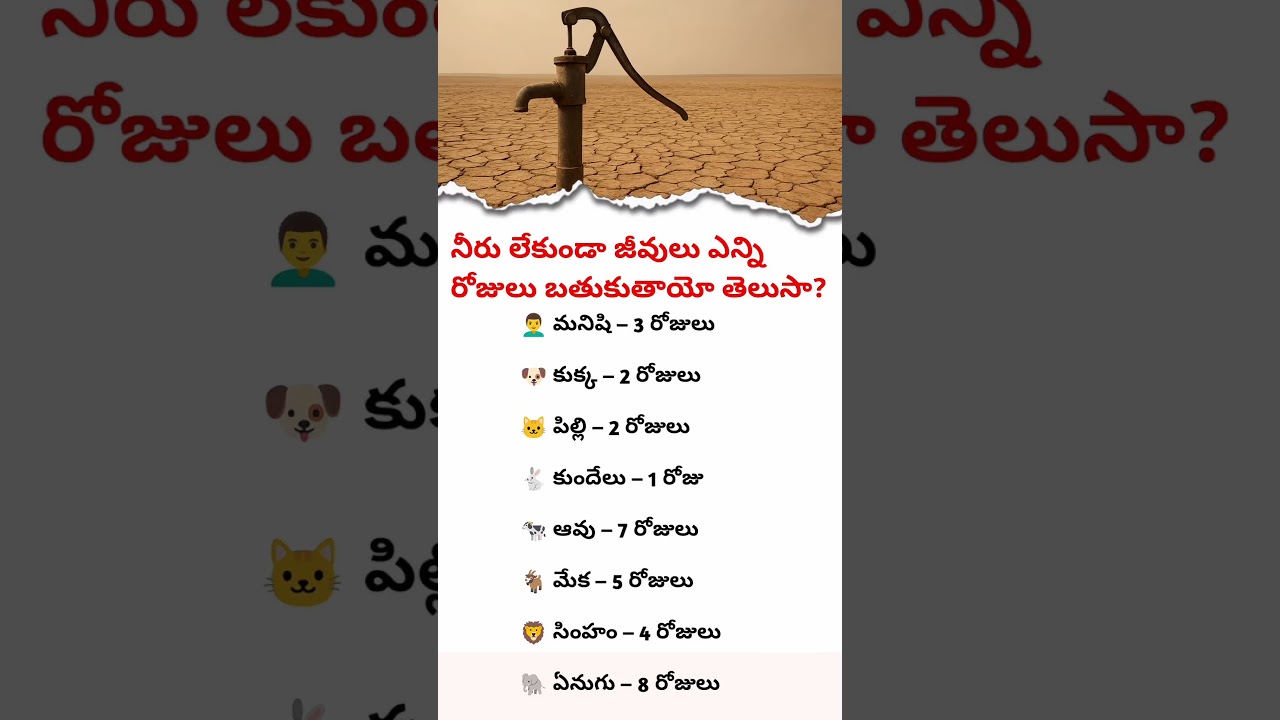 "How Long Animals Survive Without Water 🐘🦁🐕 | Amazing Animal Water Survival Facts"