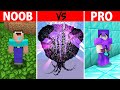 Killing the wither stormnoob vs pro